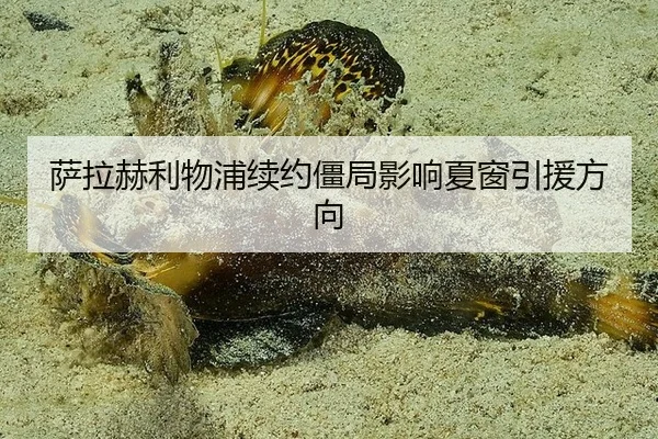 sa-la-he-li-wu-pu-xu-yue-jiang-ju-ying-xiang-xia-chuang-yin-yuan-fang-xiang-3-278.jpg